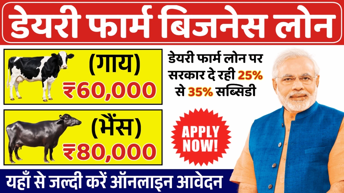 Dairy Farm Business Loan 2025